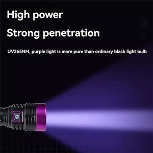 Lampe de poche UV LED haute puissance rechargeable 365nm Blacklight Ultraviolet Invisible Ink Marker Pet Urine Stain Scorpion Check Torch - Product Image 5