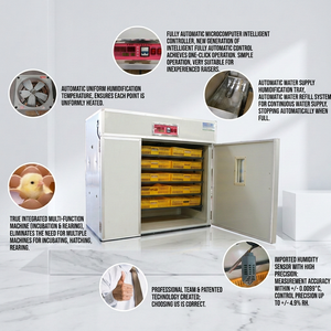 Incubateur de ferme volaille <span class=keywords><strong>20000</strong></span> automatique, Offre Spéciale œufs, bon marché - Product Image 6