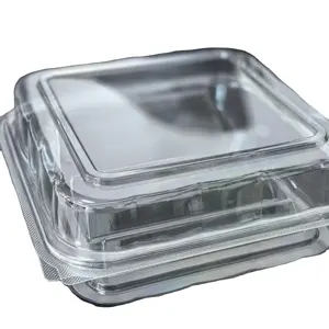 사각 투명 플라스틱 용기 과일 & 샐러드 상자 뚜껑이 있는 일회용 힌지 식품 용기 안전