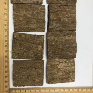 קליפת עץ אוקומייה אולמואידס טבעית, מיובשת, טהורה, בריאה ופופולרית למכירה - Product Image 4