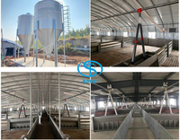 Système d'alimentation pour poulailler : Silo principal en tôle galvanisée pour le maïs et les céréales, avec convoyeur
