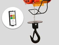 Mini treuil électrique d'usine 220V 250/300/500kg Treuil électrique à commande filaire Treuil électrique à câble métallique
