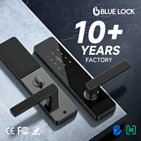 Cerradura Inteligente de Seguridad Bluelock Advanced FH01 OEM/ODM con Control Remoto TThotel y Almacenamiento en la Nube para Hogar, Hotel y Oficina