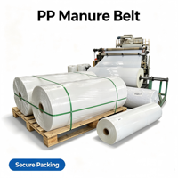 Vente en gros de bande transporteuse pour fumier de volaille en PP, taille standard, imperméable, spécifications personnalisées, bande transporteuse pour bétail