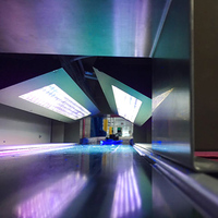 Systèmes de lampes de polymérisation UV LED sur mesure pour petites surfaces, contrôleur à écran tactile, 1000 mW/cm² réglable, tension 110/220 V, garantie 1 an