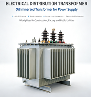 Transformateur immergé dans l'huile à enroulement en aluminium S22 3 phases 35 kV 100 kVA, refroidissement ONAF pour la distribution d'énergie des installations industrielles