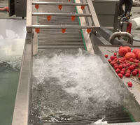 LTK Fruit- en groentewasmachine - 380V 2,5kW Grote capaciteit & eenvoudige bediening