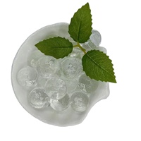 Prix de la boule antiscalante Traitement de l'eau