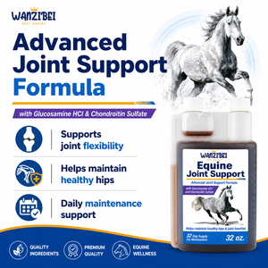 Custom LOGO Fluidflex <strong>Glucosamine</strong> HCl Liquid Joint Supplement <strong>for</strong> <strong>Horses</strong> Helps Maintain Healthy Hip Function 32 Ounces 32 Day - Product Image 2
