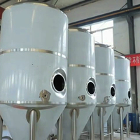Équipement de brassage de bière 3000L ligne de production de bière artisanale