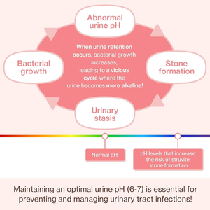 Complément alimentaire professionnel pour les reins des chats, traitement à la canneberge pour la santé rénale des chats avec Pacran, Quercétine, OEM/ODM - Product Image 4