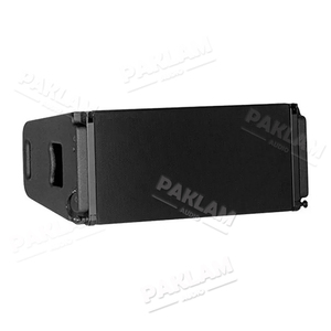 Sistema <span class=keywords><strong>Line</strong></span> Array Professionale PAKLAM a 2 Vie con Doppio Woofer da 10 Pollici 700W per Esterni, Set DJ, Audio, Video e Illuminazione - Product Image 1