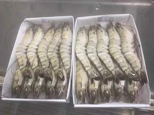 Gamberetti di tigre nera congelati - Product Image 3