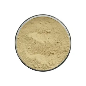 Pure Natural Sweetener Orange Peel Extract Hesperidin Powder Cas 11013-97-1 Food Grade Methyl Hesperidin
