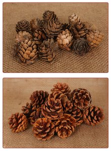 Bán Buôn Nón Thông Màu Sắc Tự Nhiên Khô Hoa Sắp Xếp Giáng Sinh Trang Trí Đồng Hành Hộp Quà Tặng Phụ Kiện Cho Các Bên - Product Image 2