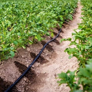 Ruban goutte à goutte de tuyau d'<span class=keywords><strong>irrigation</strong></span> de ferme à faible coût avec <span class=keywords><strong>goutteur</strong></span> plat intérieur 16MM tuyau goutte à goutte <span class=keywords><strong>irrigation</strong></span> - Product Image 4