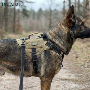 Set di Collari e Guinzagli per Cani da Servizio Personalizzati OEM, in Nylon Resistente, con Logo Personalizzato - Product Image 5
