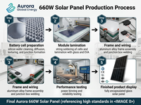 Module d'énergie solaire 660W utilisant une technologie de fabrication avancée pour une qualité de produit constante