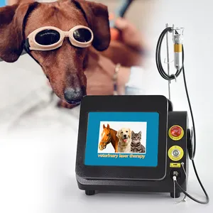 Pabrik menawarkan laser medis portabel terapi fisik peralatan dokter hewan untuk pereda nyeri tubuh