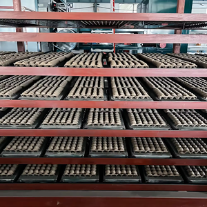 Mới bắt đầu Kinh Doanh tùy chỉnh khay trứng làm máy tự động khay trứng hình thành máy - Product Image 6