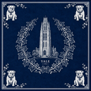 Tappetino da Mahjong Academic Elite University, disegnato a mano, con motivi di monumenti storici, in gomma naturale, personalizzato per la laurea degli aluni delle Ivy League - Product Image 3