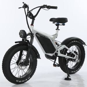 Vélo de montagne électrique tout-terrain 500w Batterie au lithium 48v Dérailleur 7 vitesses Pneus gras de 20 pouces Suspension arrière Moyeu arrière Vélo de ville - Product Image 1
