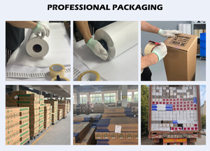 <span class=keywords><strong>Film</strong></span> PVC imprimable éco-solvant mat Trees-260G 140 microns, vente en gros usine, OEM/ODM disponible, qualité extérieure, durabilité 1 an - Product Image 5
