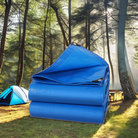 Bâche en polyéthylène imperméable très résistante, bâche en PE, tapis de sol, couverture de tente de camping en plein air, taille personnalisable, poids moyen, teinture unie
