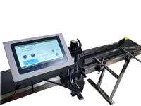 Máquina de codificación de lotes de inyección de tinta en línea/en línea Impresora de inyección de tinta con riel de guía de alimentación de transportador personalizado para caja de cosméticos Cartón