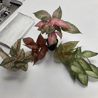Plante artificielle en pot Caladium Taro rose et verte en PE, décoration de Pâques pour la maison, le bureau, la salle de bain, la chambre à coucher