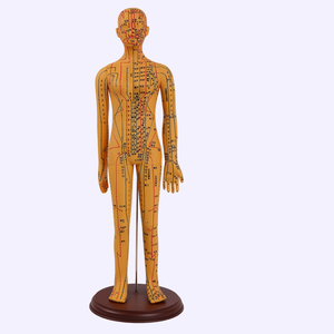 Acupuncture 62CM et point de moxibustion Modèle <span class=keywords><strong>humain</strong></span> <span class=keywords><strong>Corps</strong></span> entier Médecine traditionnelle chinoise Diagramme des douze méridiens - Product Image 1