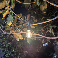 Lampe solaire de camping pour jardin, éclairage LED, corps en ABS, recharge portable, ampoule à filament de tungstène rétro