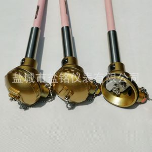 Salt Inscription Thermocouple WRP-130 Type S R B Platinum Rhodium High Temperature Resistance 0-1800 Celsius - Product Image 1