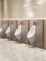 Panneau de cloisonnement d'urinoir personnalisable pour toilettes publiques, zone de services, immeuble de bureaux, toilettes pour hommes, en acier inoxydable et verre