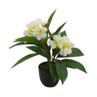 Fleurs artificielles en mousse Tizen Real Touch Hawaii Frangipani, bouquet de fleurs de Plumeria 3D, plante d'Agave, fleur artificielle Rose
