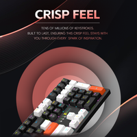 Clavier mécanique OEM, clavier de jeu filaire avec N-Key Rollover, éclairage RGB personnalisé, compatible multi-OS pour PC portable