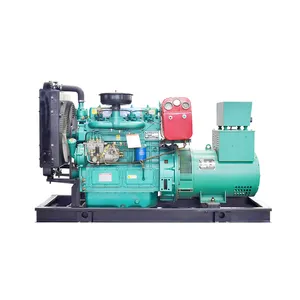 15kw Điện Bắt Đầu 2 Xi Lanh Ricardo Diesel Máy Phát Điện Động Cơ Giá