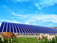 Tuile de toit solaire incurvée 380W, système de production d'énergie photovoltaïque à film mince, panneau de tuiles de toit en verre BIPV, tuiles de toit solaires