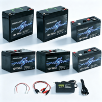 Baterai LiFePO4 12V 100Ah Deep Cycle untuk RV Camper Caravan Motorhome Tenaga Surya Off Grid