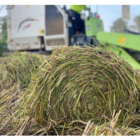 Moissonneuse-batteuse à riz Wubota, personnalisation basée sur des échantillons, personnalisation basée sur la conception, alimentation complète, moissonneuse-batteuse combinée