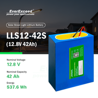 Высокопроизводительная литий-ионная батарея LiFePO4 с BMS для хранения солнечной энергии, для уличного освещения и автономного использования