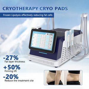 Appareil de Cryothérapie EMS à 4 Plaques pour Amincissement Corporel, Dissolution des Graisses, Stimulation Musculaire et Remodelage Corporel Complet - Product Image 1