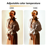 YN300III Lumière LED portable professionnelle pour appareil photo, éclairage vidéo et photo, boîte à lumière réglable bicolore, pour appareil photo reflex numérique, studio, luminosité numérique, télécommande