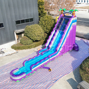 Toboggans aquatiques gonflables <span class=keywords><strong>de</strong></span> qualité commerciale, couleur marbre violet, palmier tropical, toboggan aquatique gonflable <span class=keywords><strong>géant</strong></span> pour adultes - Product Image 2
