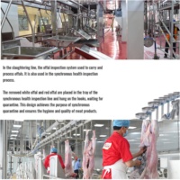 Proyecto Llave en Mano: Línea Industrial de Sacrificio de Ovejas a Gran Escala, Equipo Automático para el Procesamiento de Cordero