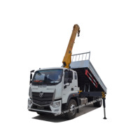 Grue télescopique mobile FOTON Aumark de nouvelle conception, 6,3 tonnes, montée sur camion à benne basculante