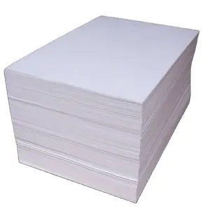 Premium Quality FBB Paper Original Mill China Supply Folding Box Board