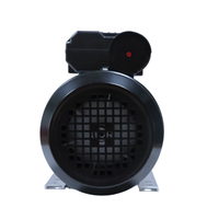 Moteur asynchrone monophasé AC à haut rendement et faible bruit YL-802-4 0,75 KW 1 CV 1400 tr/min, bobine 100 % cuivre, boîtier en aluminium