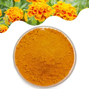 Hochwertiges Lutein China Supply Lutein Ringelblume extrakt Tagetes Erecta L. Extrakt