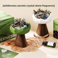 Diffuseur d'arômes en pierre de cristal pour aromathérapie, coffret cadeau – Désodorisant sans flamme, parfum longue durée 90/120 jours, usage intérieur